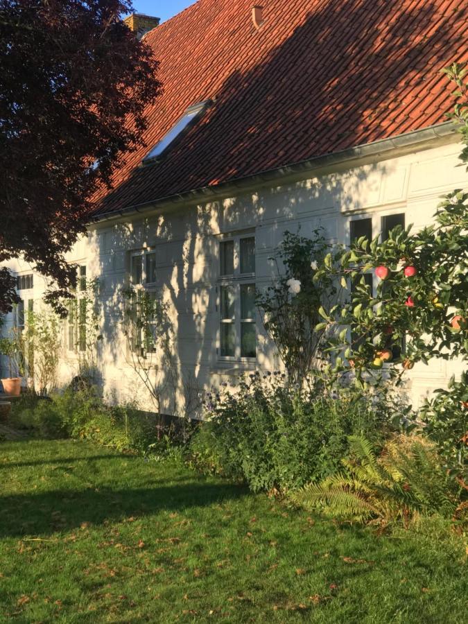 Landligt Ophold Pa Midtgard Lägenhet Vamdrup Exteriör bild